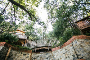 Le casette sull'albero di VILLA ALBA